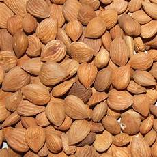 Dried Nut