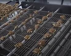 Chocolate Depositors