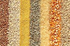 Corn Flour
