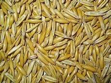 Fodder Flour