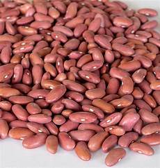 Kidney Bean