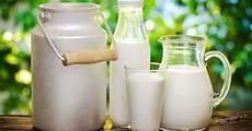 Milk Dairy