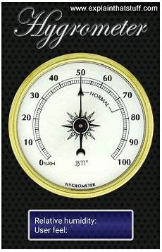 Moisture Meter