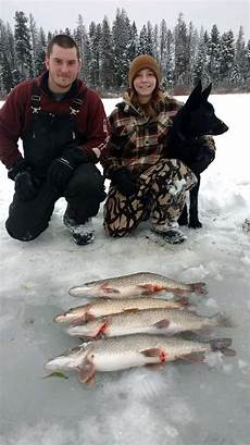 Pike Perch