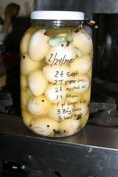 Quail Egg