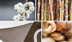 Regenerated Fabric