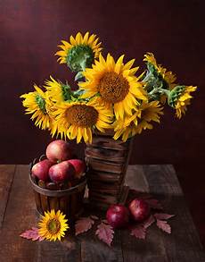 Sunflower Oil