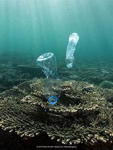 Plastics