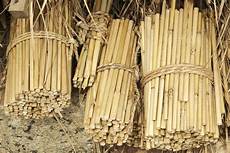Raw Materials